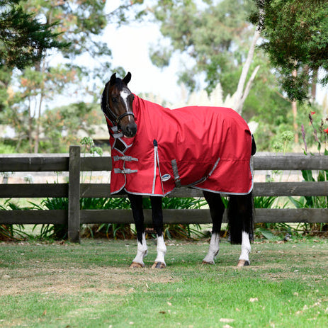 Weatherbeeta: Blanketing Your Horse in Innovation and Quality