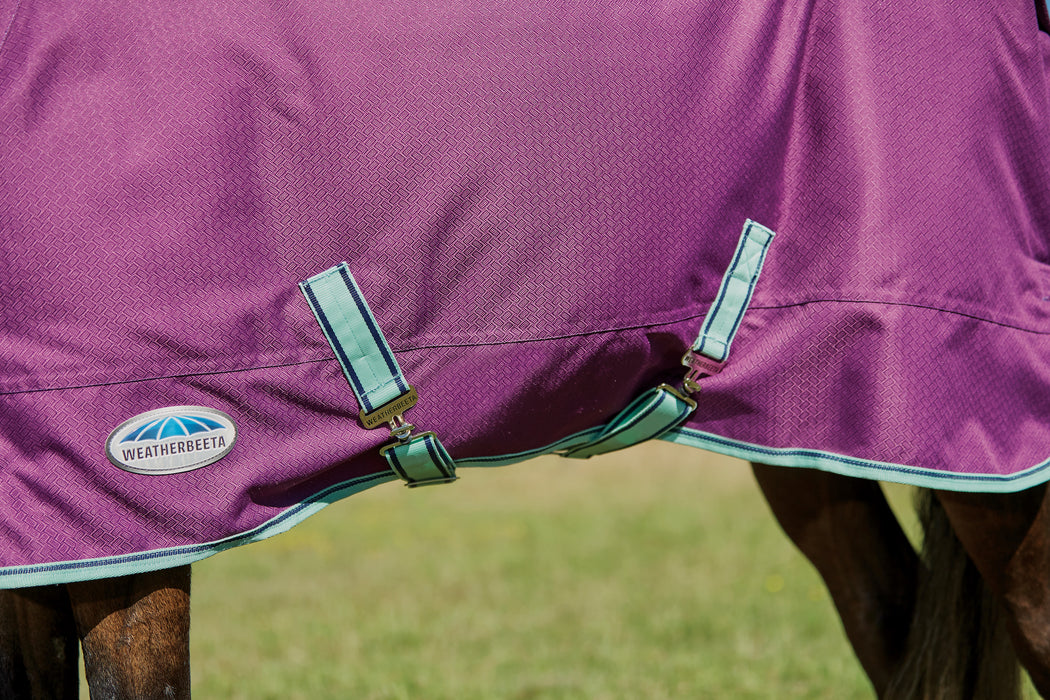 WeatherBeeta ComFiTec Premier Freedom Detach-A-Neck Pony Turnout Blanket (220g Medium) - Surcingles