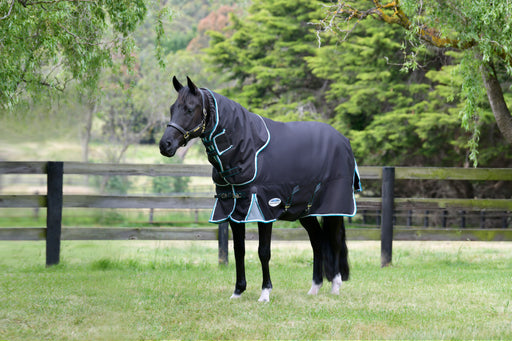 WeatherBeeta ComFiTec Ultra Cozi III Detach-A-Neck Turnout Blanket (360g Heavy) in Charcoal/Teal with Blue/White Trim