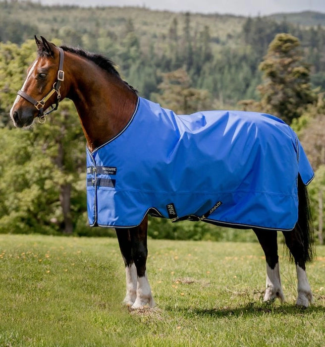 Amigo Hero Ripstop Turnout Sheet (0g Light) in Blue with Navy and Grey Trim - On horse standing