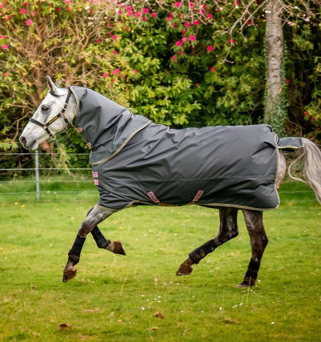 Amigo Hero Ripstop Plus Turnout Sheet (0g Light, 0g Hood) in Shadow with Rose and Navy Trim - On horse running