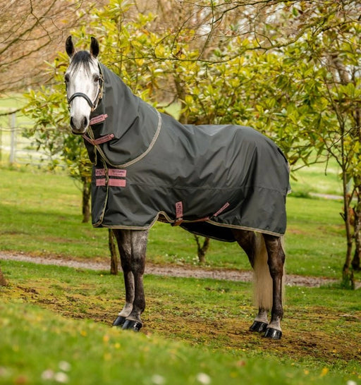 Amigo Hero Ripstop Plus Turnout Sheet (0g Light, 0g Hood) in Shadow with Rose and Navy Trim - On horse, side view