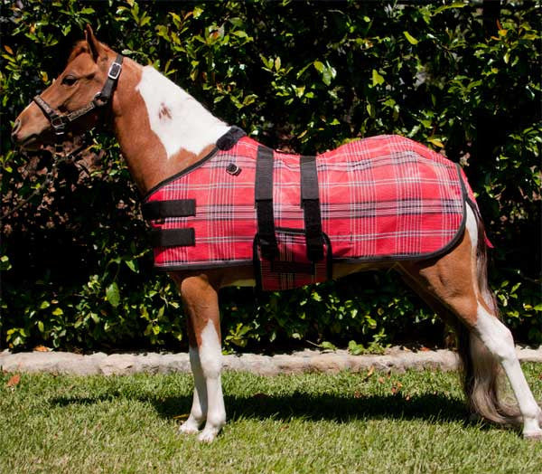Kensington Miniature Horse Protective Fly Sheet - Deluxe Red Plaid