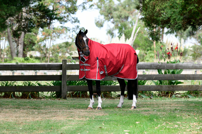 Weatherbeeta: Blanketing Your Horse in Innovation and Quality