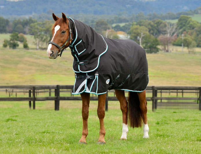 Get ready for fall and winter with WeatherBeeta's brand new collection of horse blankets!
