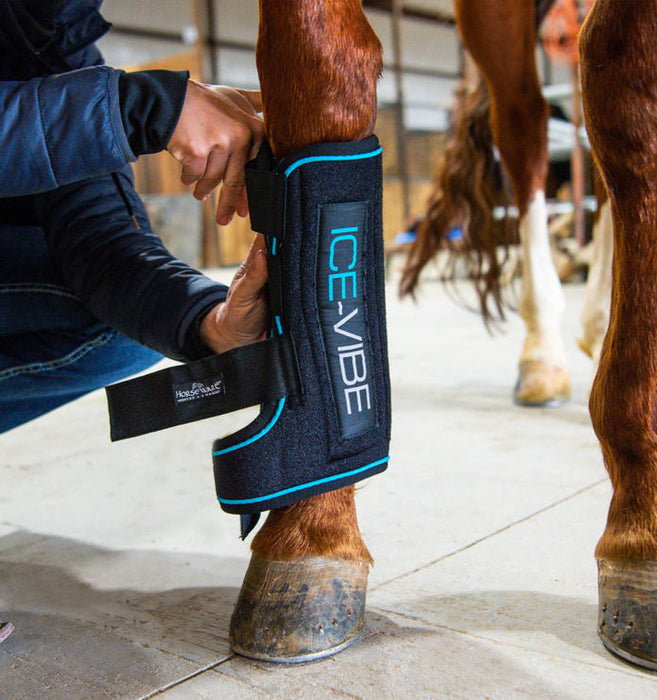 ICE-VIBE® does what Ice Can't - Latest Circulation Therapy from Horseware