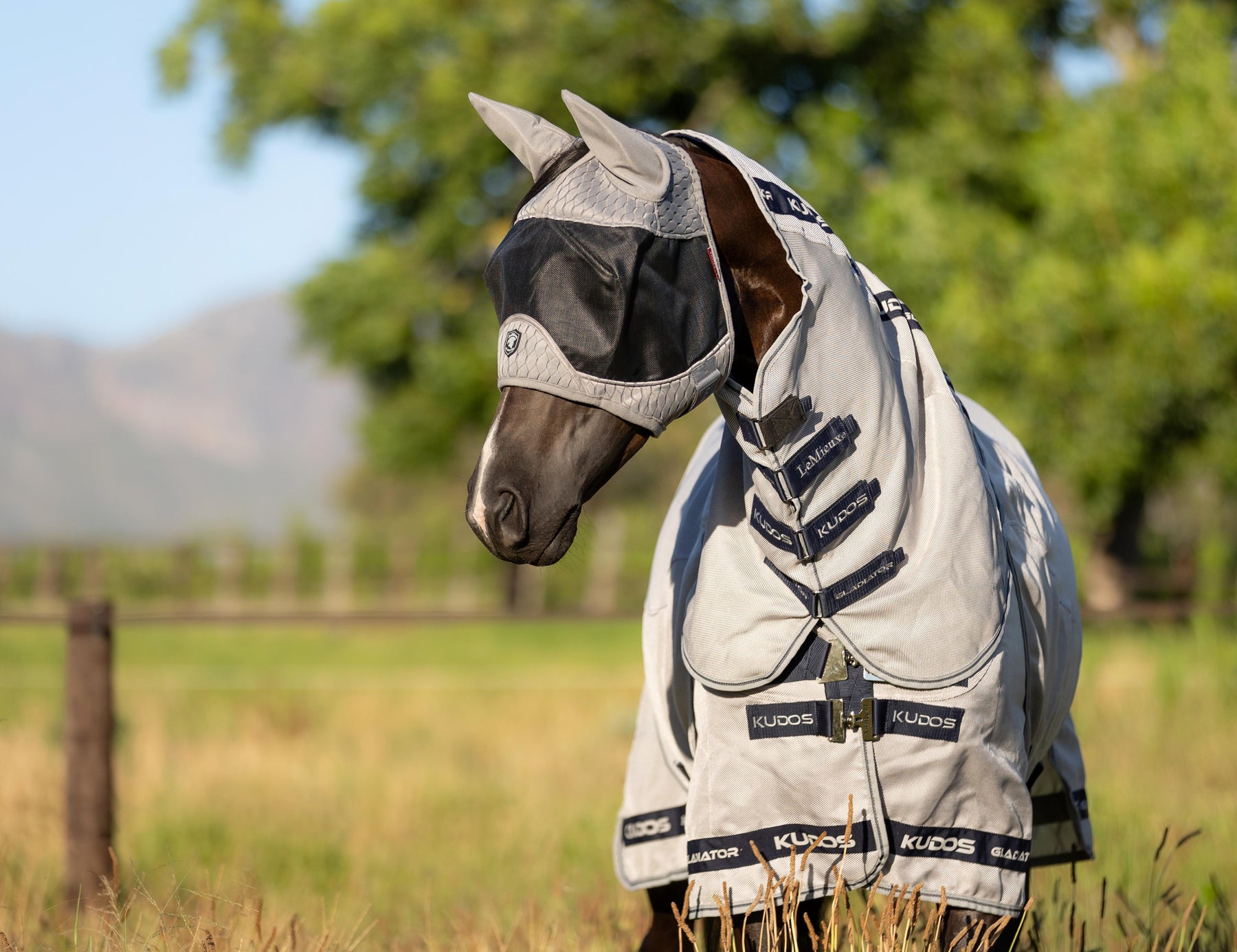 Beat the Buzz and Keep Your Horse Cool: Why We Love the LeMieux Gladiator Fly Rug