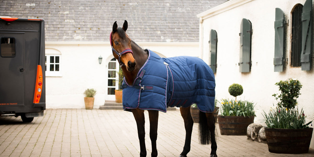 What Weight Blanket Should I purchase? — Performance Horse Blankets