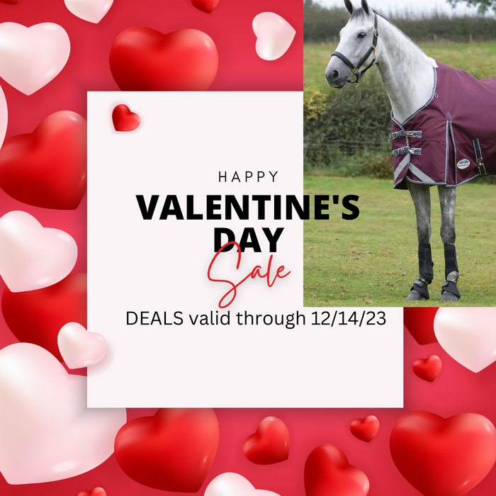Valentine's Day Sale for Performance Horse Blankets