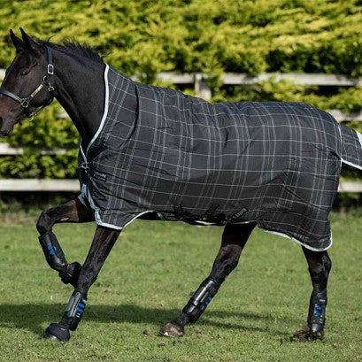 Best Horse Blankets for Horses With High Withers