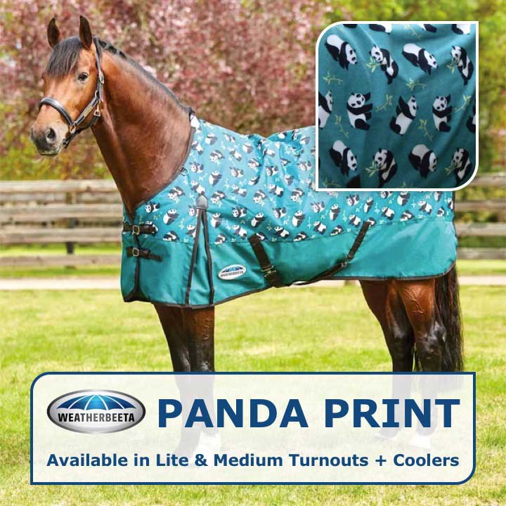 NEW Panda Print from Weatherbeeta! — Performance Horse Blankets