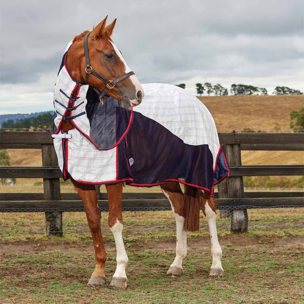 Horse Sheets UV Protection Comparison