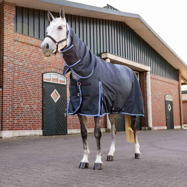 The Ultimate Horse Blanket Buying Guide: Key Features to Consider