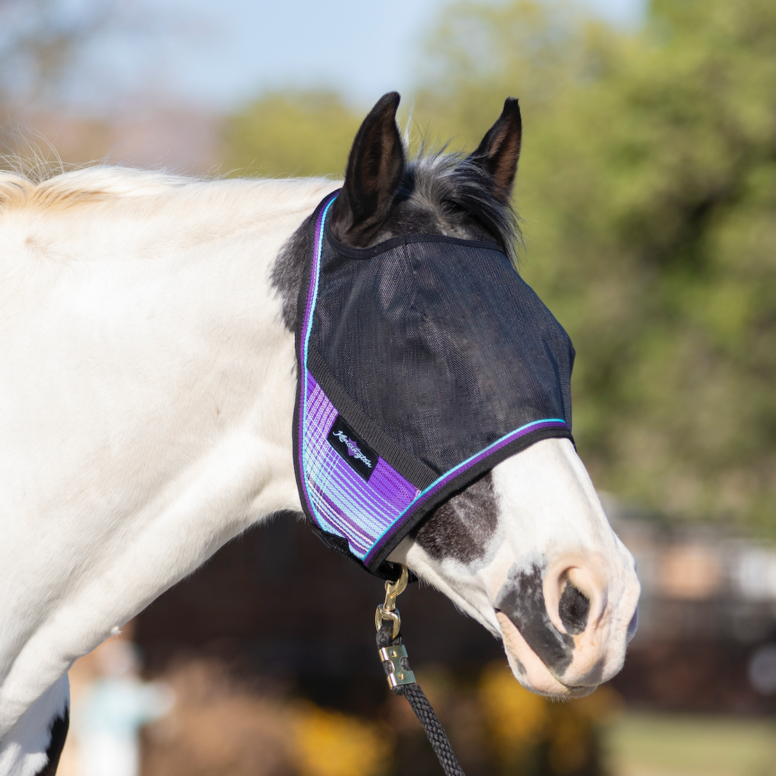 Performance Horse Blankets Shop Horse Blanket, Turnout, Fly Sheet