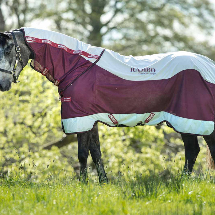 Keeping Your Cool: Why Airflow Matters in a Horse Fly Sheet