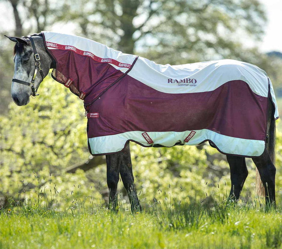 Keeping Your Cool: Why Airflow Matters in a Horse Fly Sheet