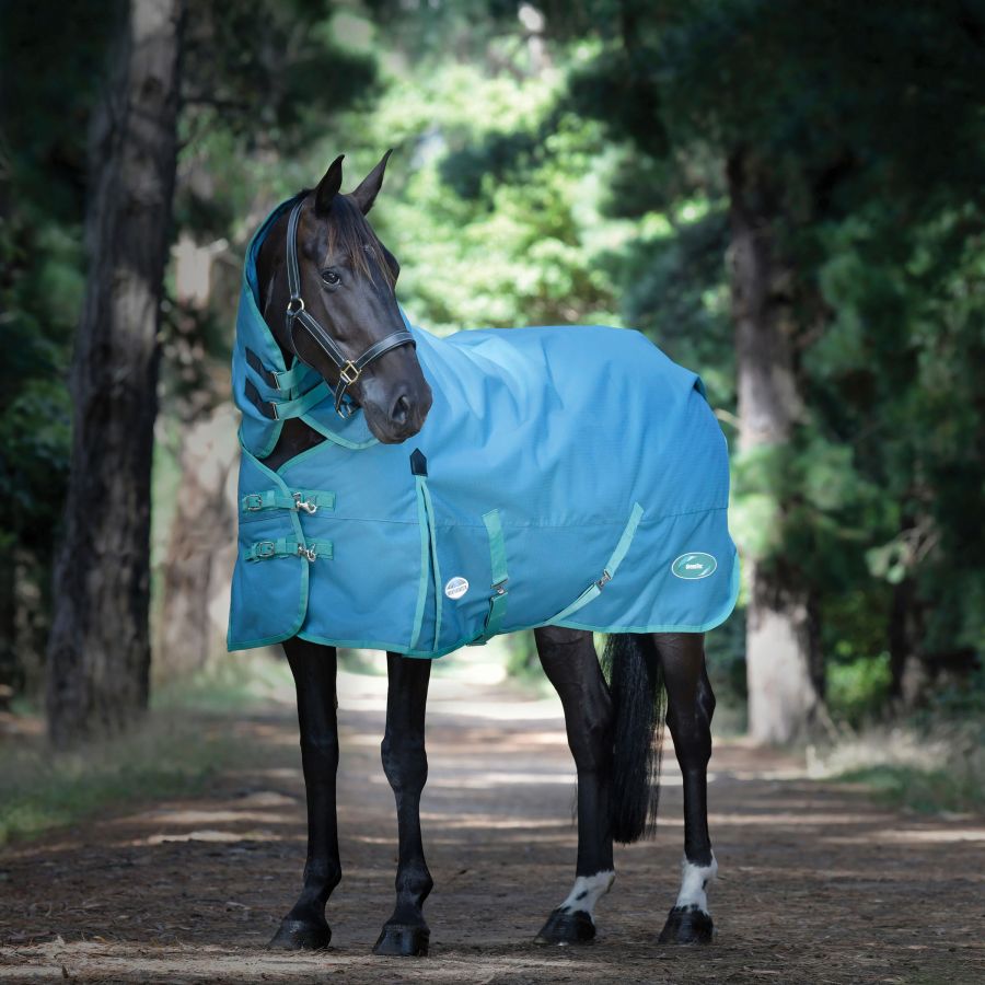 Winter 202324 WeatherBeeta Collection — Performance Horse Blankets
