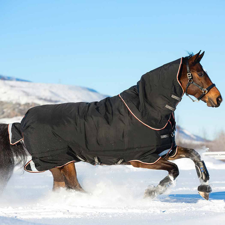 Extreme Deals! — Performance Horse Blankets