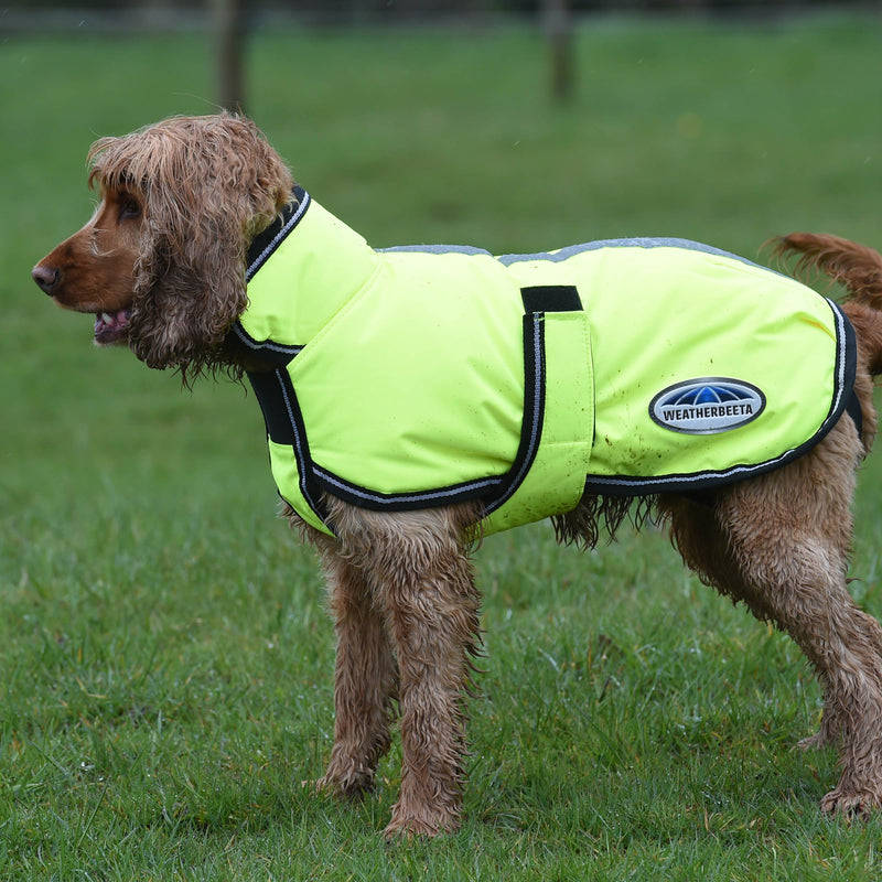 image_addtnl_2 - Yellow - WeatherBeeta ComFiTec Reflective Parka 300D Deluxe Dog Coat - .jpg