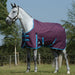 WeatherBeeta ComFiTec Essential Standard Neck Turnout Blanket (220g Medium) in Grape (Purple/Blue Trim) - On horse from side