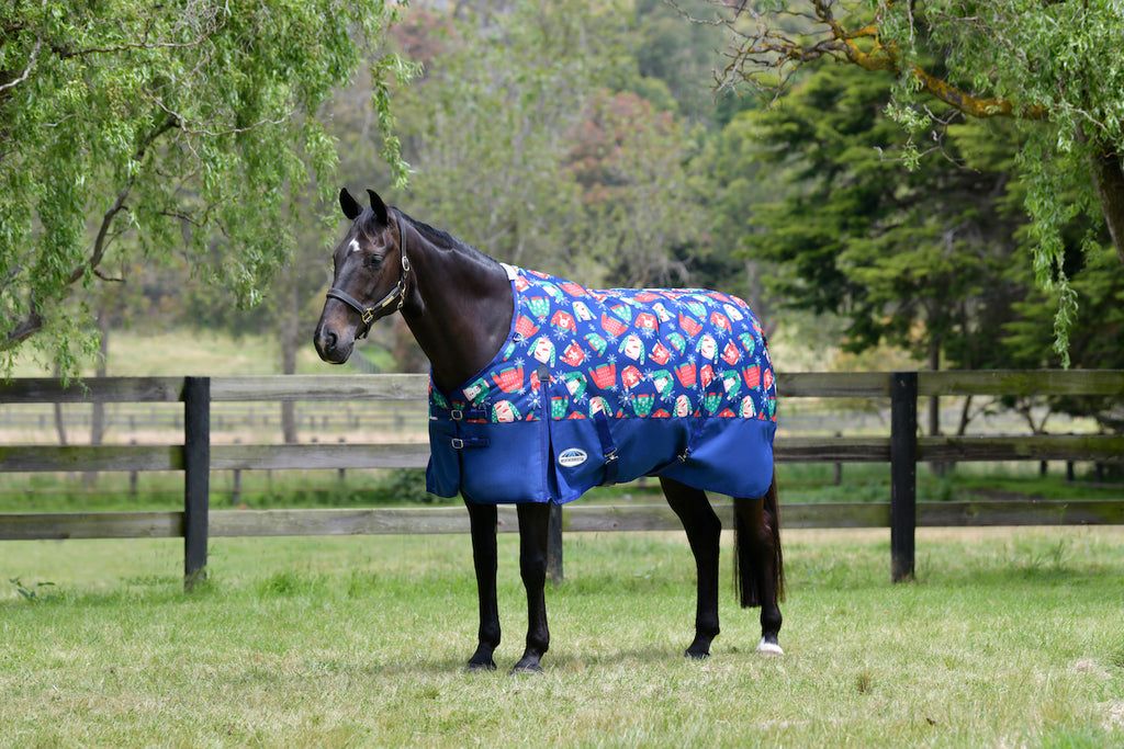 Turnout Sheets & Blankets — Performance Horse Blankets