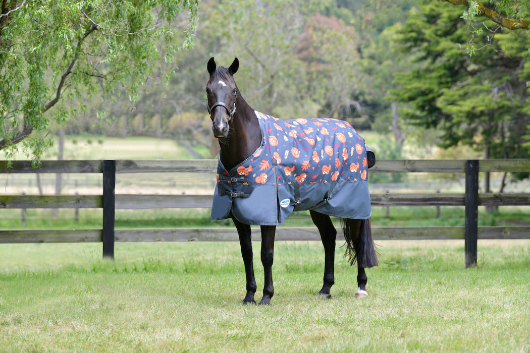 WeatherBeeta ComFiTec Essential Standard Neck Turnout Blanket (220g Medium) in Squirrel Print