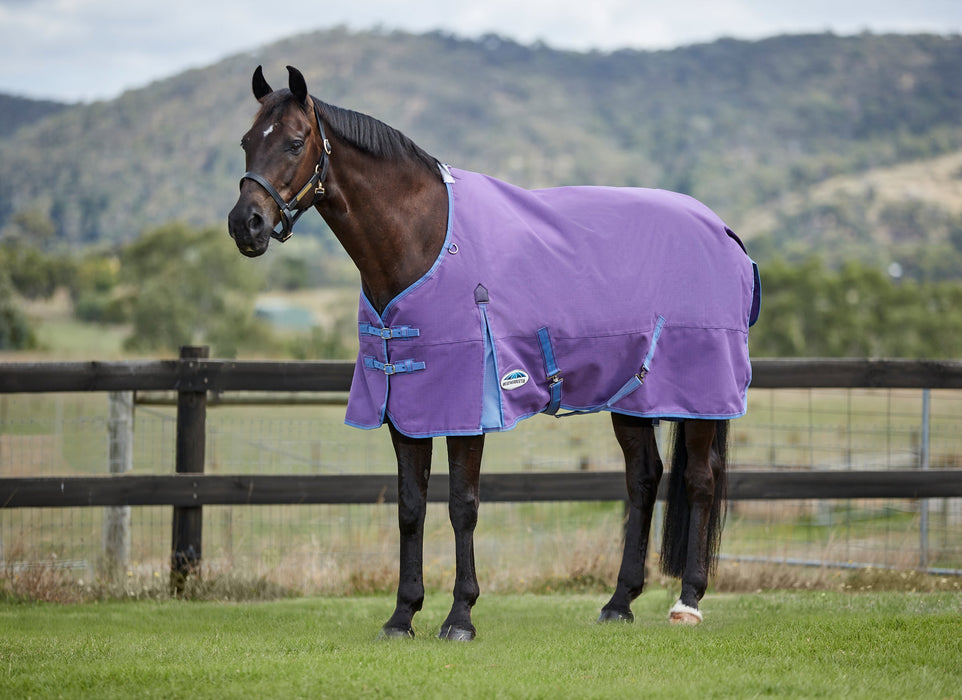 WeatherBeeta ComFiTec Essential Standard Neck Turnout Sheet (0g Lite) - Violet with Blue Trim