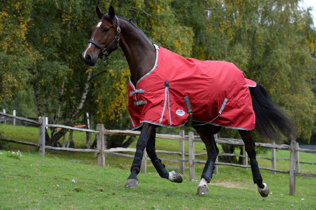 WeatherBeeta ComFiTec Classic Standard Neck Turnout Blanket (220g Medium) in Red with Silver/Navy Trim