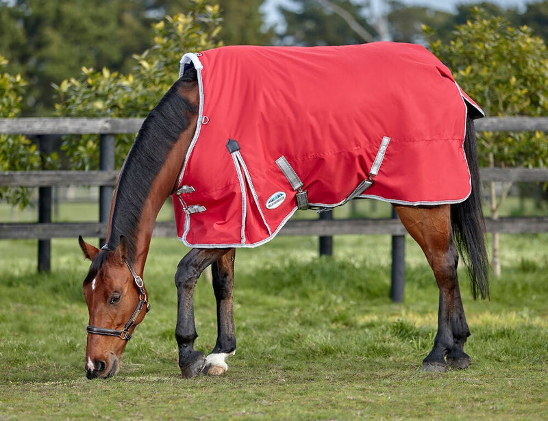 WeatherBeeta ComFiTec Classic Standard Neck Turnout Sheet (0g Lite) - CLOSEOUT