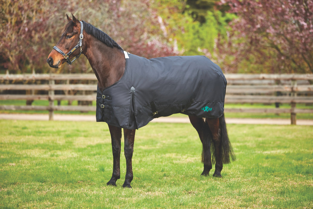 Saxon 1200D Standard Neck II Turnout Blanket (180g Medium) in Black with Black Trim