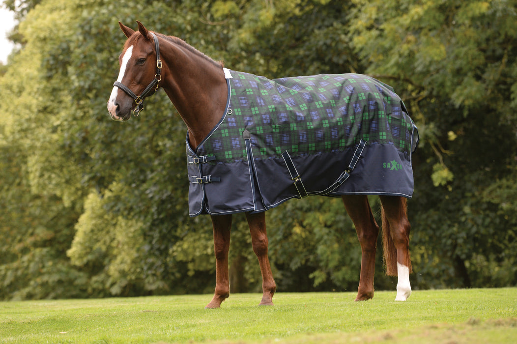 Saxon 1200D Standard Neck II Turnout Blanket (180g Medium) in Blackwatch Plaid