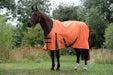 WeatherBeeta ComFiTec Classic Standard Neck Turnout Sheet (0g Lite) in Orange with Iron Grey Trim - Horse in Field