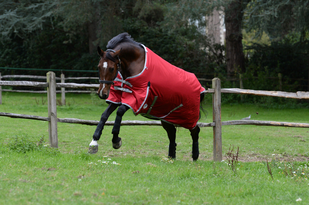 WeatherBeeta ComFiTec Classic Standard Neck Turnout Sheet (0g Lite) in Red with Silver/Navy Trim