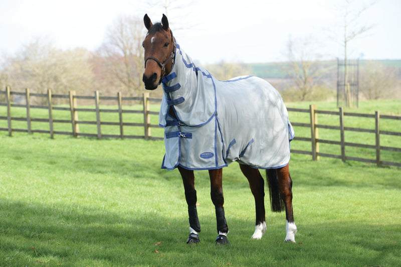 WeatherBeeta ComFiTec Airflow II Detach-A-Neck Fly Sheet (No Fill) in Grey (Blue/Grey Trim) - On horse standing from side