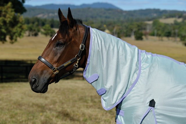 Saxon Mesh Combo Neck Fly Sheet (No Fill + Hood + Gusset + Belly Wrap) - Combo neck cover
