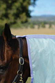 Saxon Mesh Combo Neck Fly Sheet (No Fill + Hood + Gusset + Belly Wrap) - Halter hood attachment