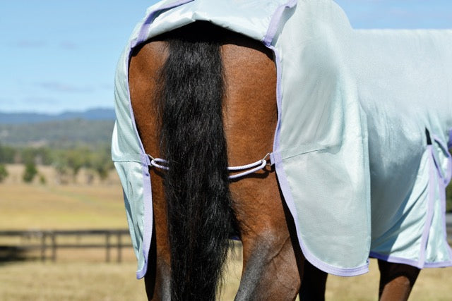 Saxon Mesh Combo Neck Fly Sheet (No Fill + Hood + Gusset + Belly Wrap) - Tail strap