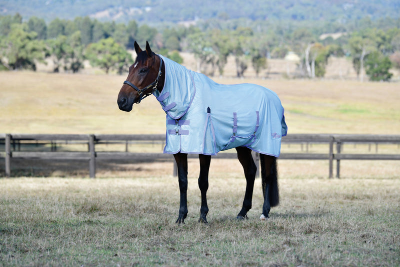 Saxon Mesh Combo Neck Fly Sheet (No Fill + Hood + Gusset + Belly Wrap) in Stone Blue (Lavender Trim) - On horse