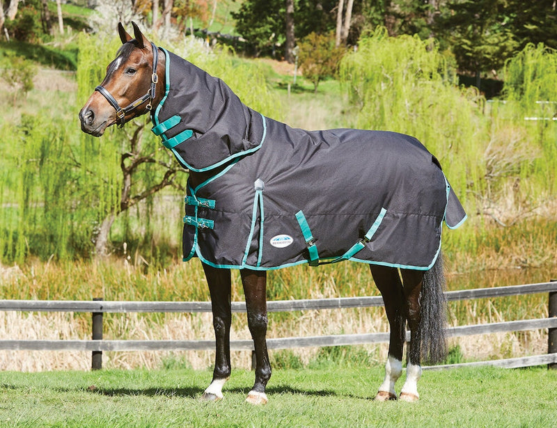 WeatherBeeta Green-Tec 900D Detach-A-Neck Turnout Blanket (220g Medium) - CLOSEOUT