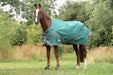 WeatherBeeta ComFiTec Plus Dynamic II Standard Neck Turnout Sheet (0g Lite) - Green with Red Trim