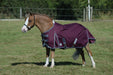 WeatherBeeta ComFiTec Plus Dynamic II Standard Neck Turnout Blanket (100g Medium-Lite) in Maroon with Grey/White Trim