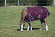 WeatherBeeta ComFiTec Plus Dynamic II Standard Neck Turnout Blanket (100g Medium-Lite) in Maroon with Grey/White Trim