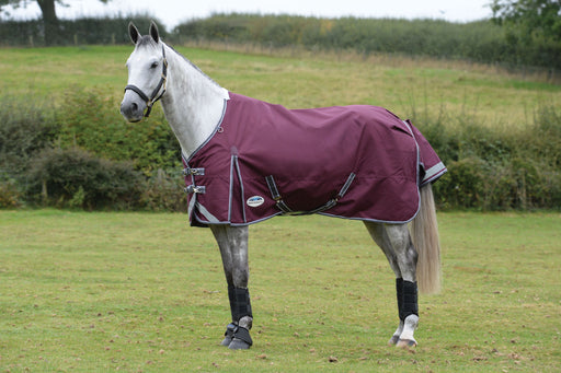 WeatherBeeta ComFiTec Plus Dynamic II Standard Neck Turnout Blanket (220g Medium) in Maroon with Grey/White Trim