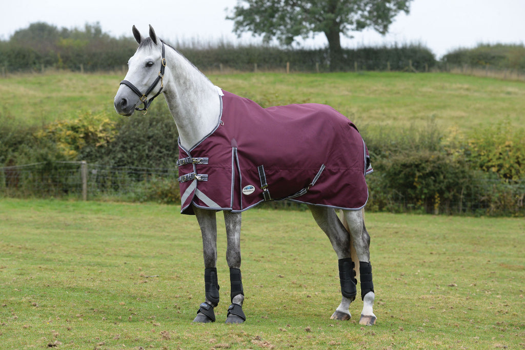 Medium-Lite Standard II Horse Plus — Dynamic Blankets Performance ComFiTec WeatherBeeta Turnout