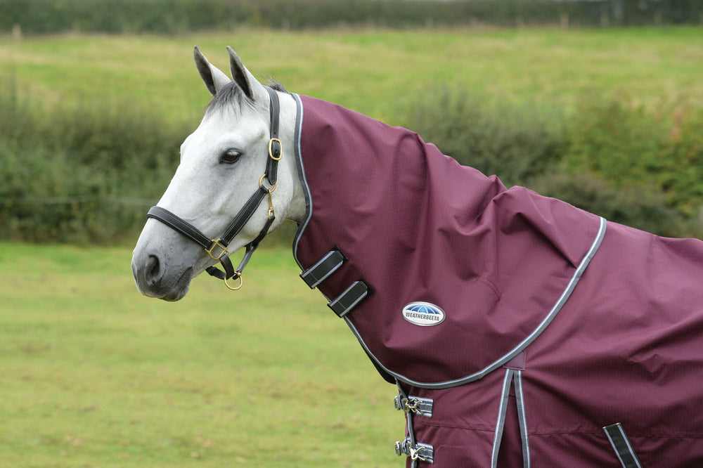 Performance Horse Blankets Shop Horse Blanket, Turnout, Fly Sheet