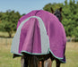 WeatherBeeta ComFiTec Premier Freedom Detach-A-Neck Pony Turnout Sheet (0g Lite) - Tail Flap