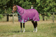 WeatherBeeta ComFiTec Premier Freedom Detach-A-Neck Pony Turnout Sheet (0g Lite) in Purple with Navy/Mint Trim