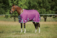 WeatherBeeta ComFiTec Premier Freedom Standard Neck Pony Turnout Sheet (0g Lite) in Purple with Navy/Mint Trim