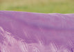 WeatherBeeta ComFiTec Premier Freedom Detach-A-Neck Pony Turnout Blanket (220g Medium) - Lining