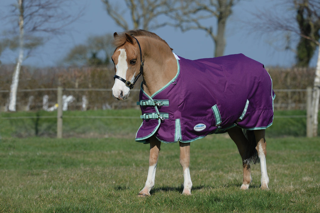 WeatherBeeta ComFiTec Premier Freedom Standard Neck Pony Turnout Blanket (220g Medium) in Purple with Navy/Mint Trim